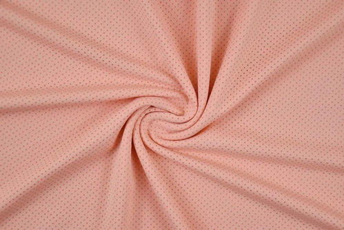 富民布料市場迎來新成員 濛運針織